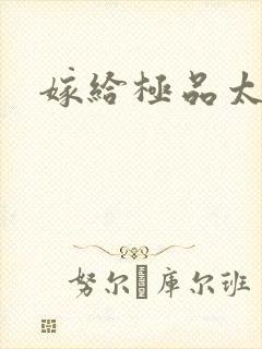 嫁给极品太子封面