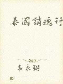泰国销魂行封面