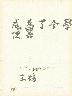 成为了全学校坐便器