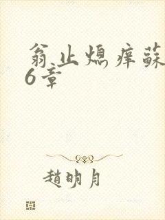 翁止熄痒苏玥第6章