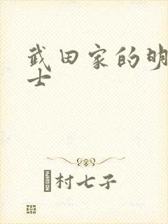 武田家的明国武士