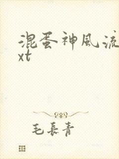 混蛋神风流史txt