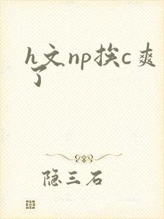 h文np挨c爽了