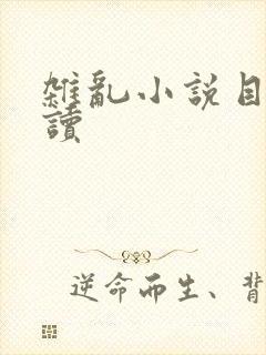 杂乱小说目录阅读