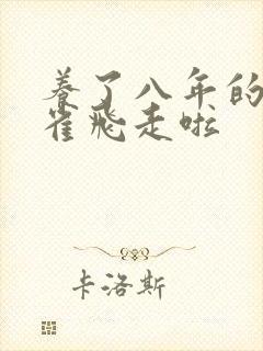 养了八年的金丝雀飞走啦