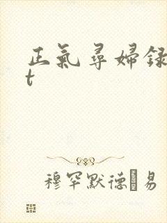 正气寻妇录txt封面