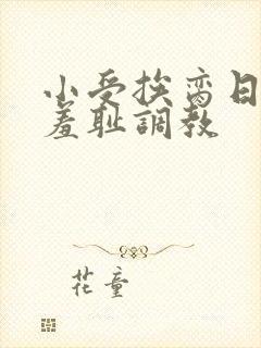 小受挨脔日常h羞耻调教封面