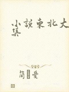 小说东北大炕全集