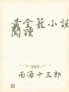 黄金笼小说免费阅读