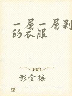 一层一层剥开你的衣服