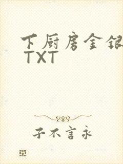 下厨房金银花露 TXT