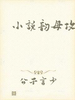 小说韵母攻略