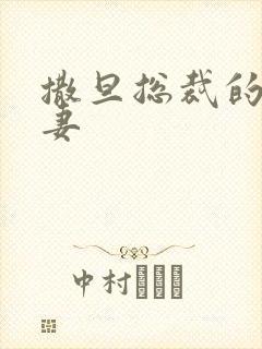 撒旦总裁的下堂妻