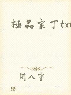 极品家丁txt