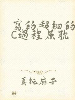 写的超细的多肉C过程原耽封面