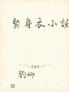 紧身衣小说
