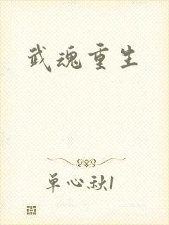 武魂重生封面