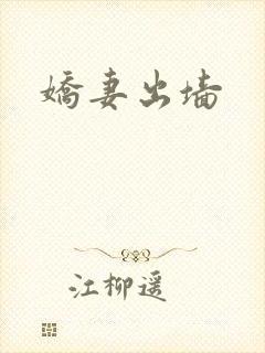 娇妻出墙封面