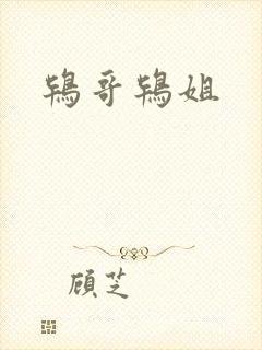 鸨哥鸨姐