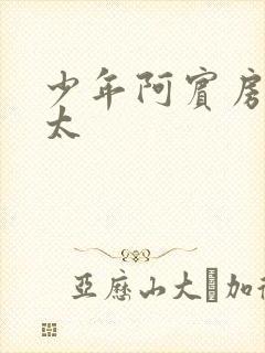 少年阿宾房东太太