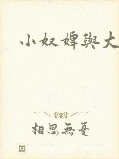 小奴婢与大少爷