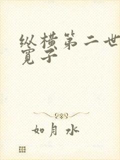 纵横第二世界 宽子