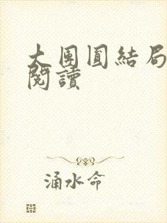 大团圆结局全文阅读封面
