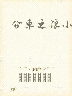 公车之狼小说
