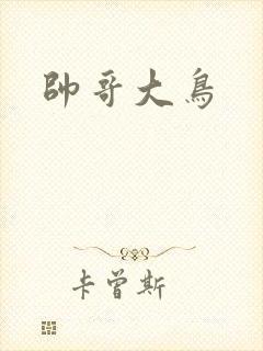 帅哥大鸟封面