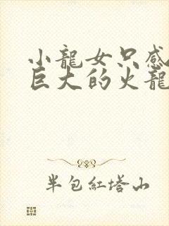 小龙女只感觉那巨大的火龙枪封面