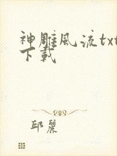 神雕风流txt下载封面