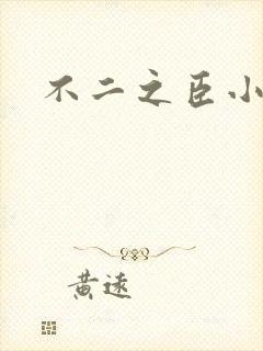 不二之臣小说