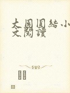大团圆结小茹全文阅读封面