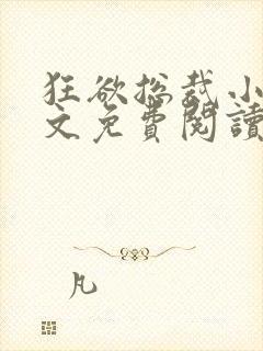 狂欲总裁小说全文免费阅读封面