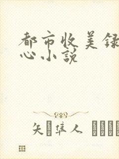 都市收美录宁素心小说