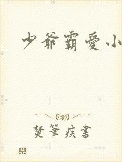 少爷霸爱小丫头