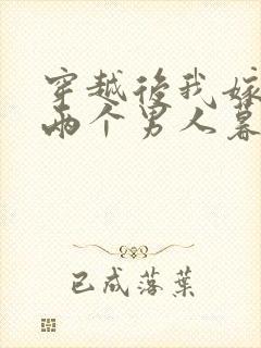 穿越后我嫁给了两个男人暮色酒歌封面