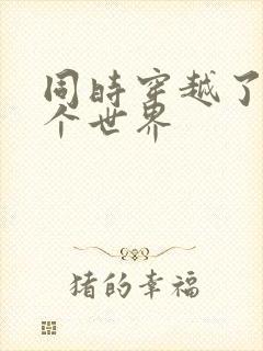 同时穿越了99个世界