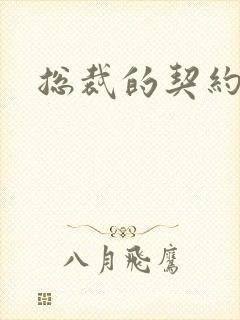 总裁的契约情人