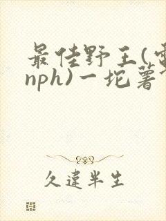 最佳野王(电竞nph)一坨薯饼