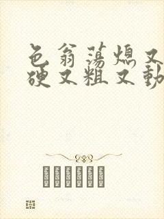 色翁荡熄又大又硬又粗又动态图