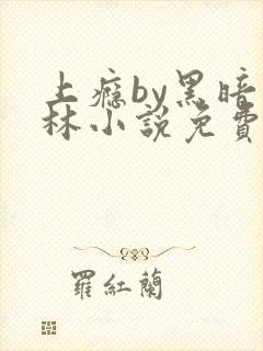 上瘾by黑暗森林小说免费