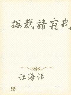 总裁请宠我封面