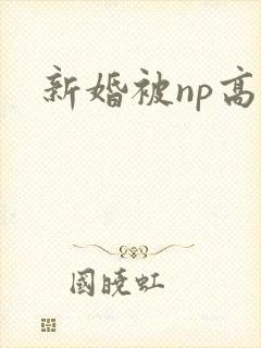 新婚被np高h