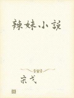 辣妹小说