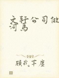 文轩公司做扩张河马封面