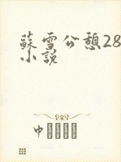 苏雪公憩28篇小说封面