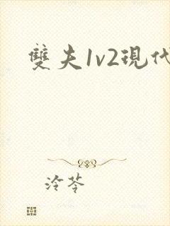 双夫1v2现代