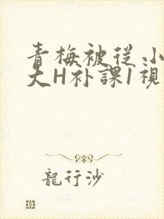 青梅被从小摸到大H补课1视频