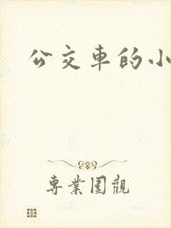公交车的小说